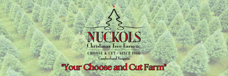 Nuckols Christmas Tree Farm is open November 28 until sold out